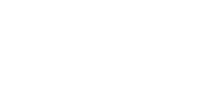SHINKIBA JUNCTION 2018